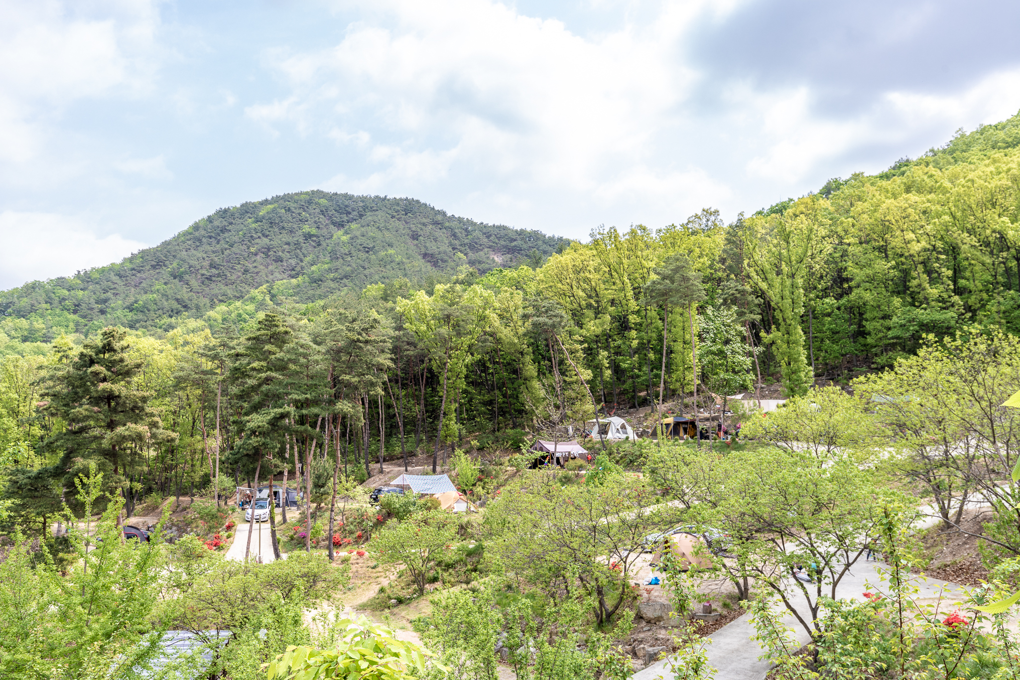 마로니에숲 캠핑장