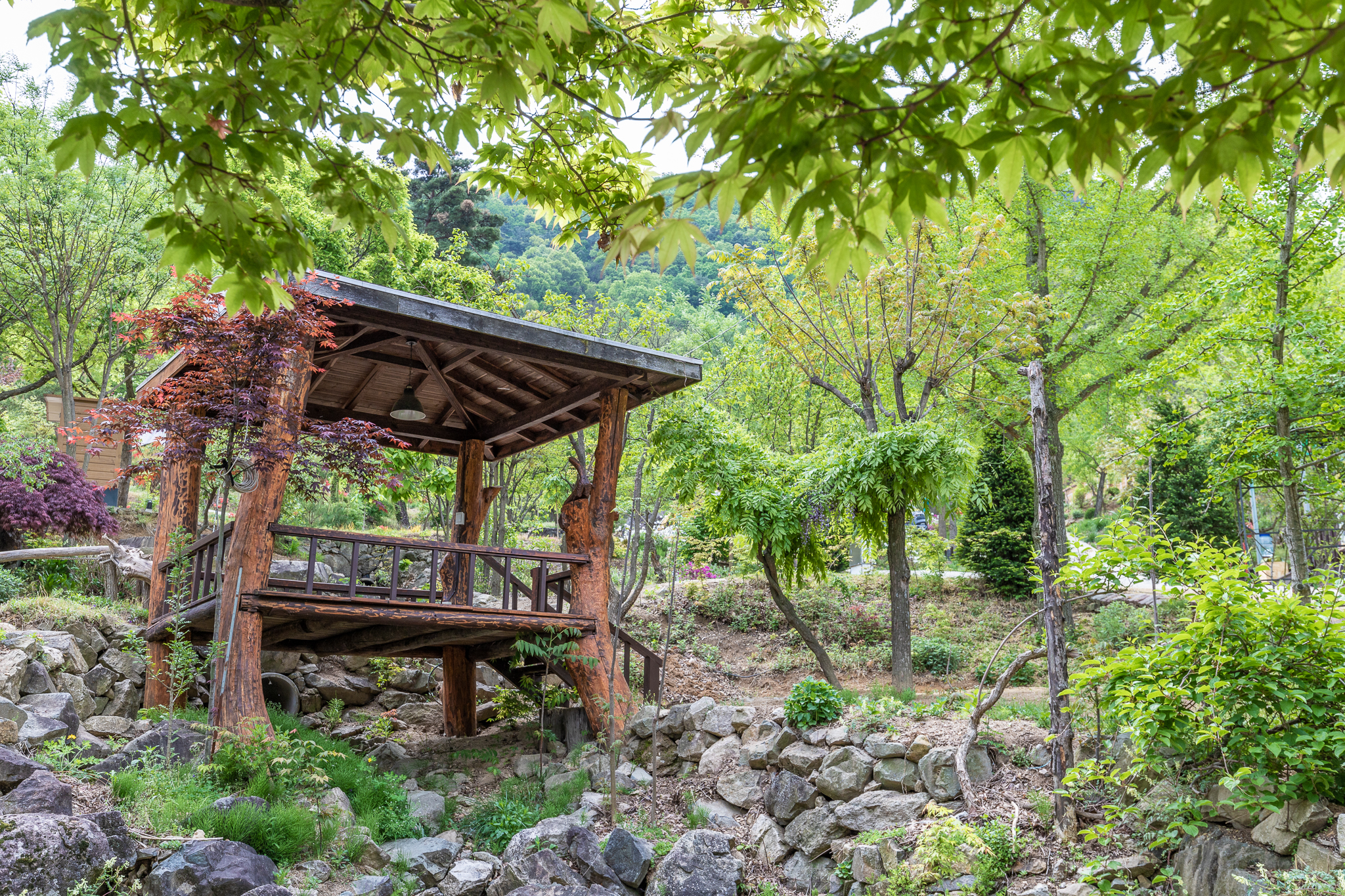 마로니에숲 캠핑장