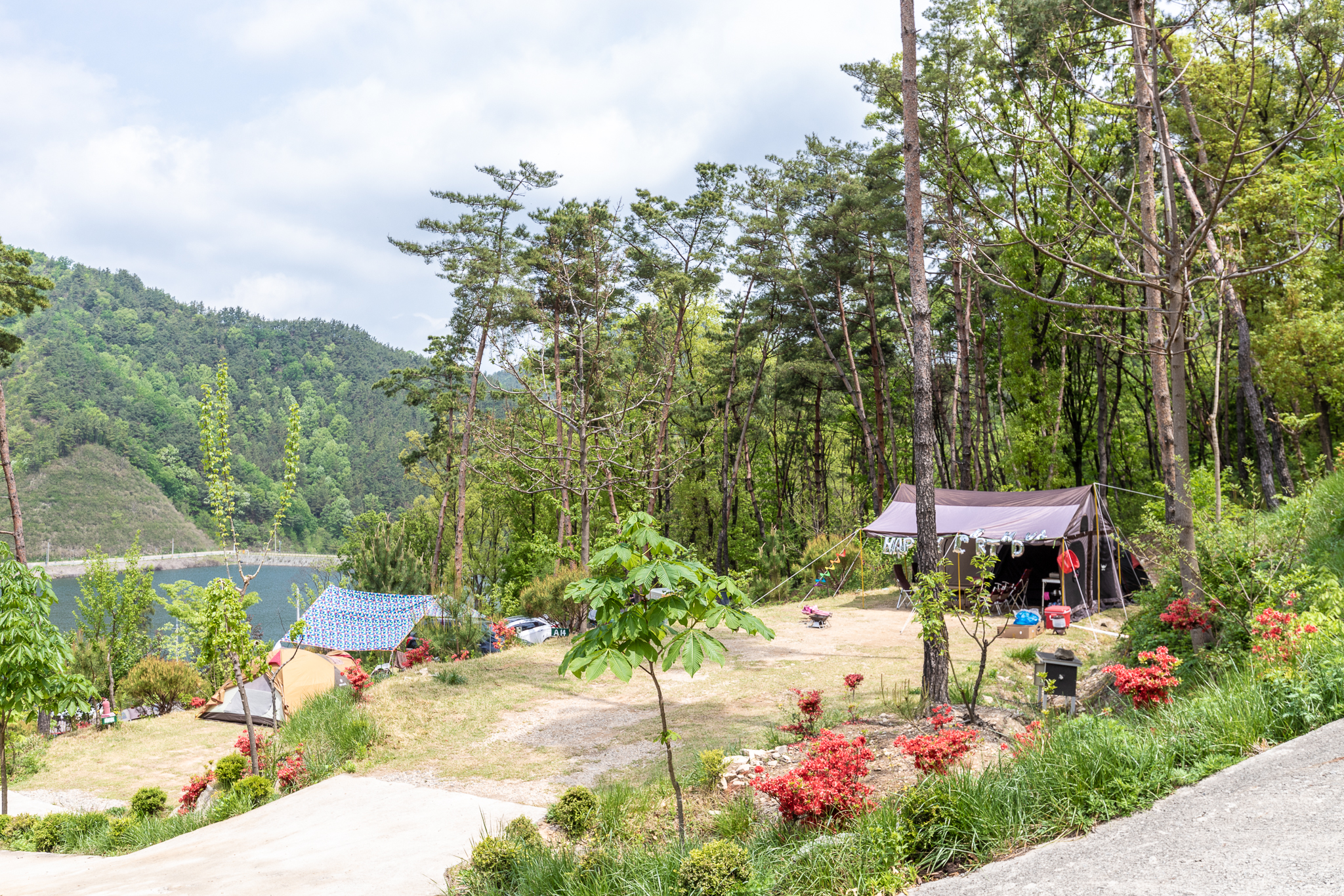 마로니에숲 캠핑장