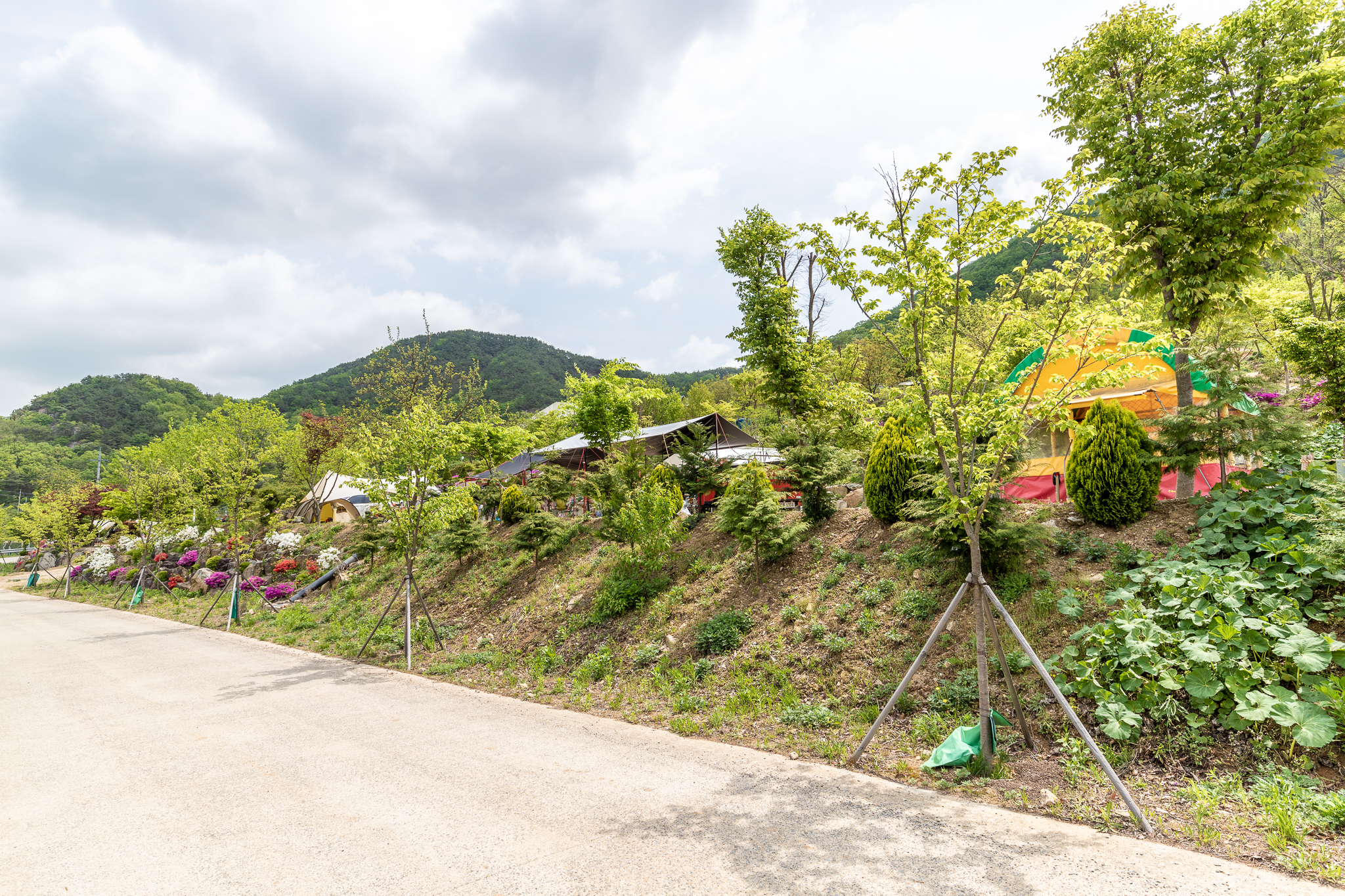 마로니에숲 캠핑장