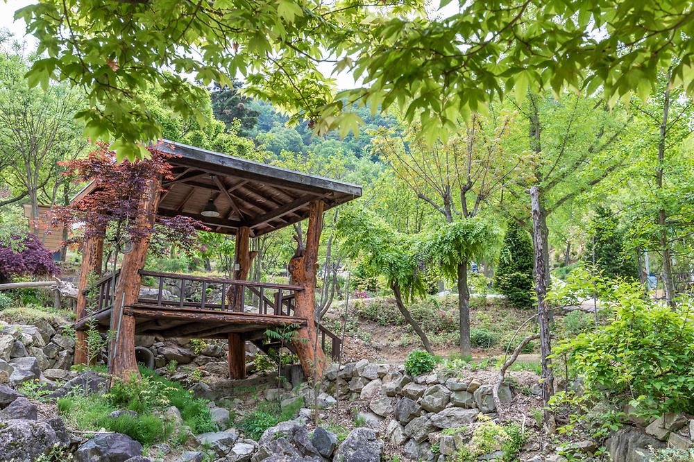 마로니에숲 캠핑장