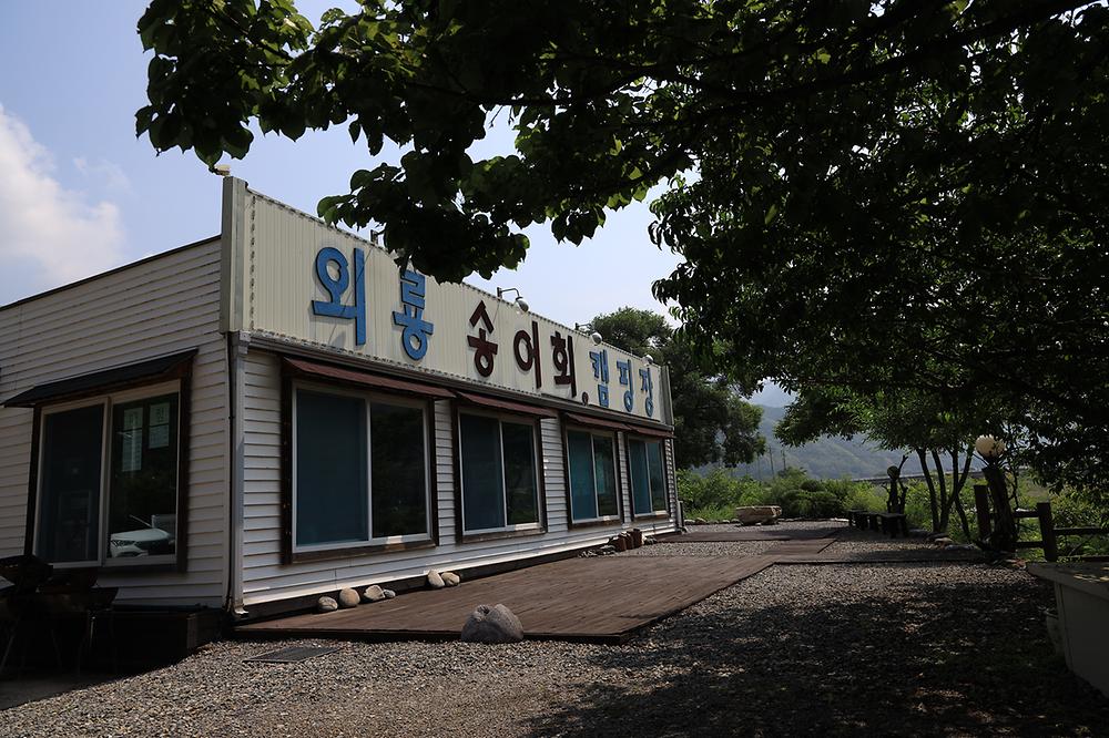 외룡송어회 캠핑장