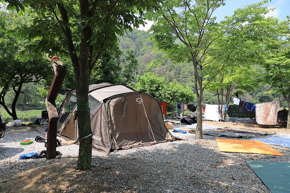 외룡송어회 캠핑장