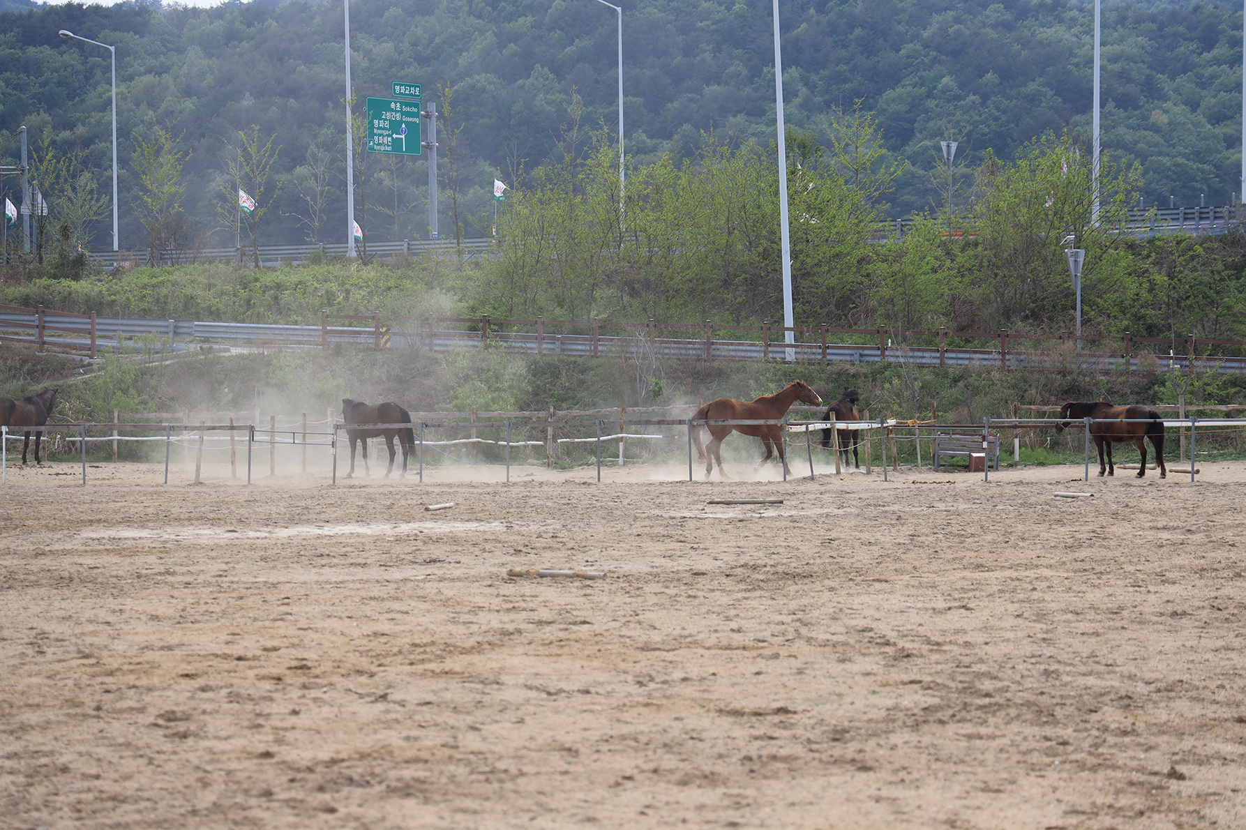 명파 해변 오토캠핑장