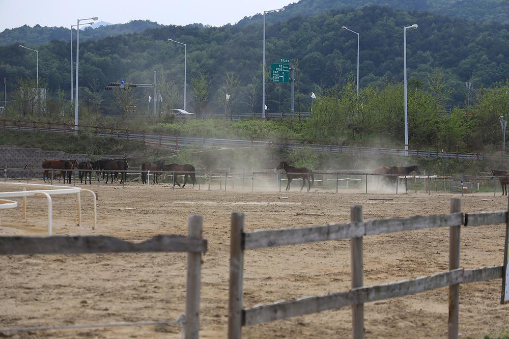 명파 해변 오토캠핑장