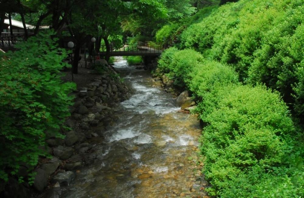 두레캠핑장