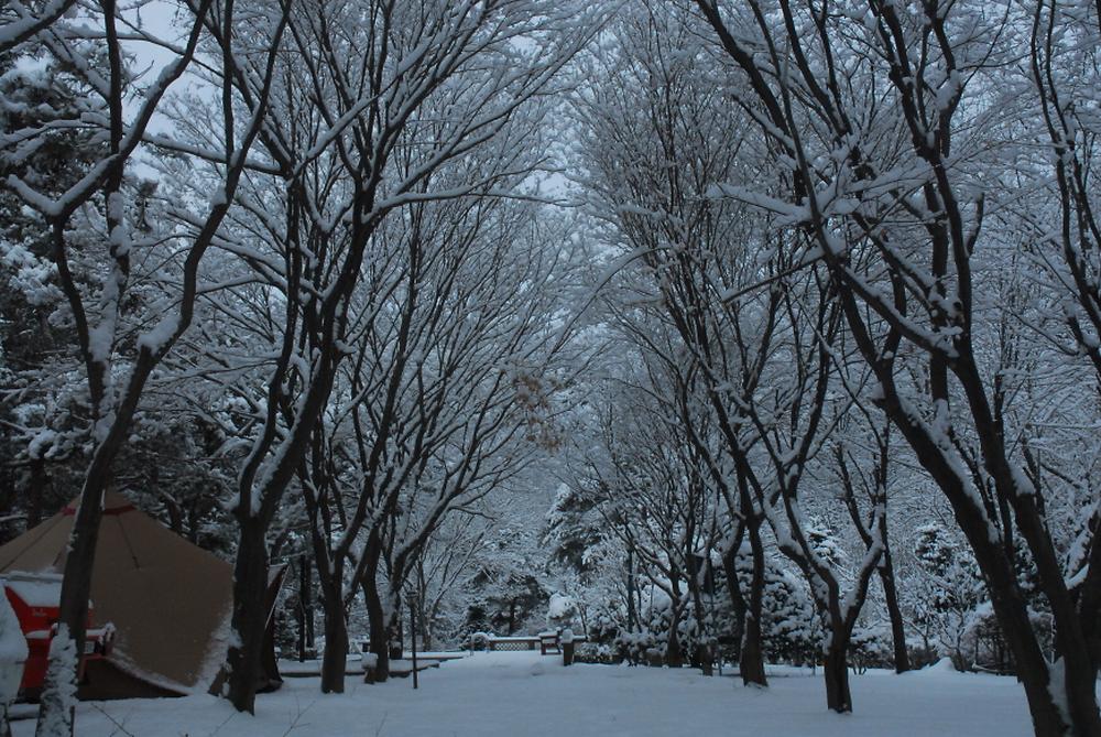 두레캠핑장