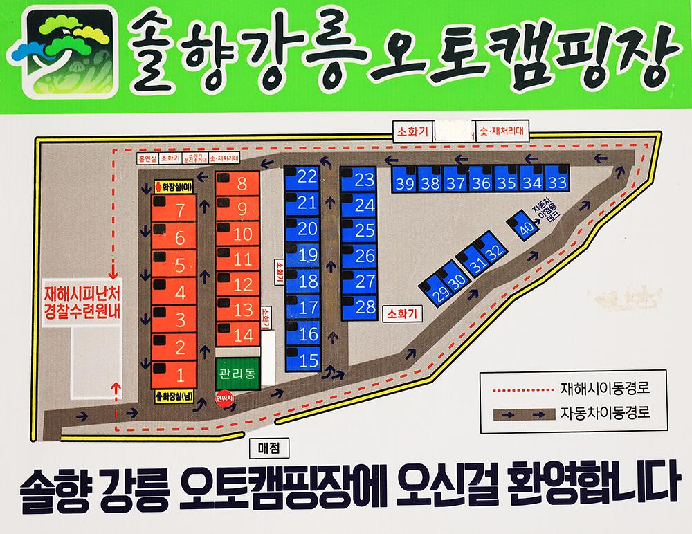 솔향강릉오토캠핑장