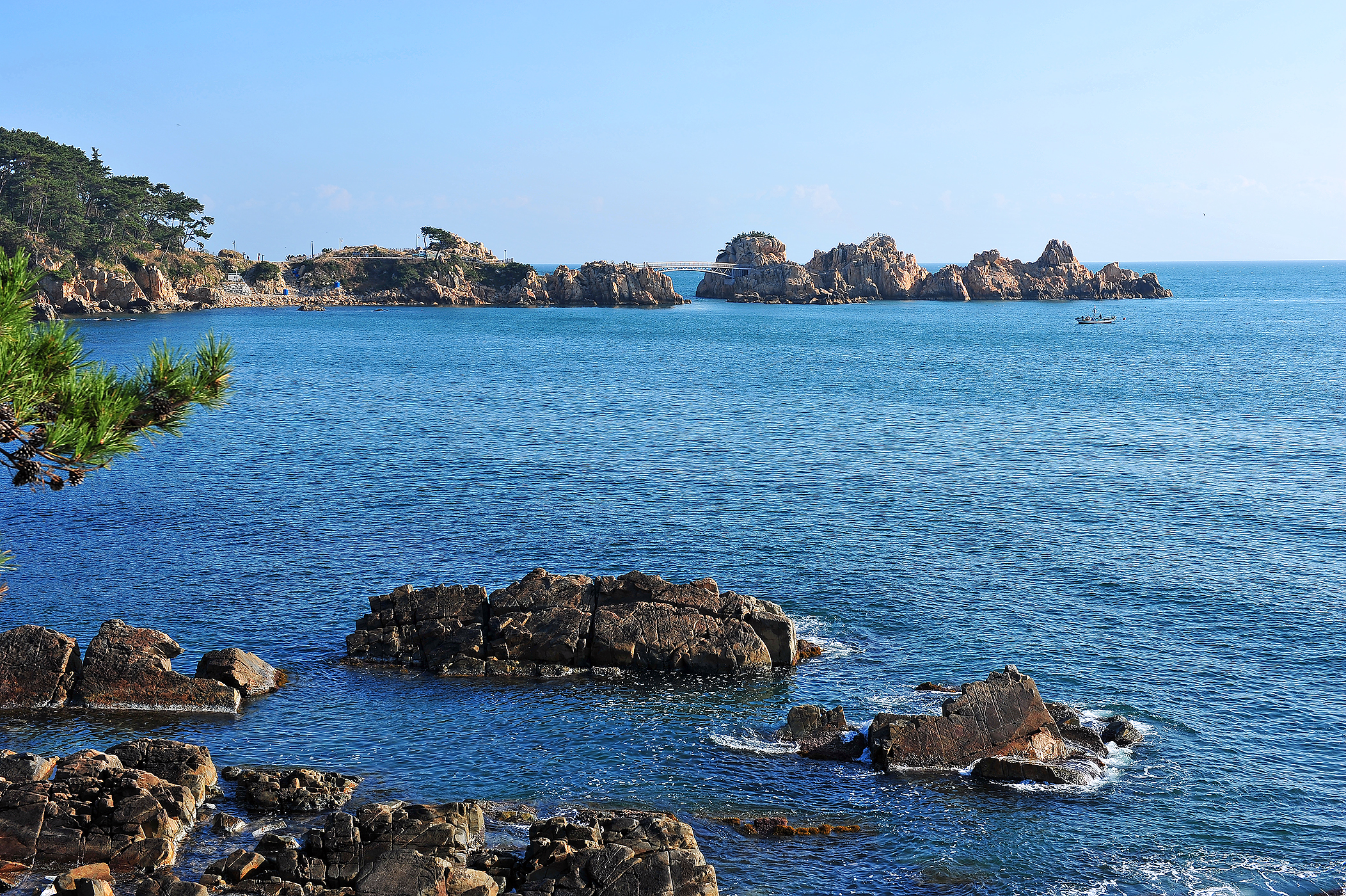 대왕암공원 캠핑장