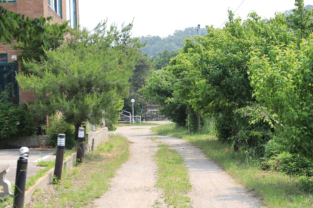황산도캠핑장
