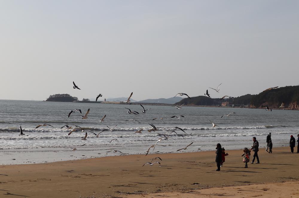 몽산포오토캠핑장 2구역