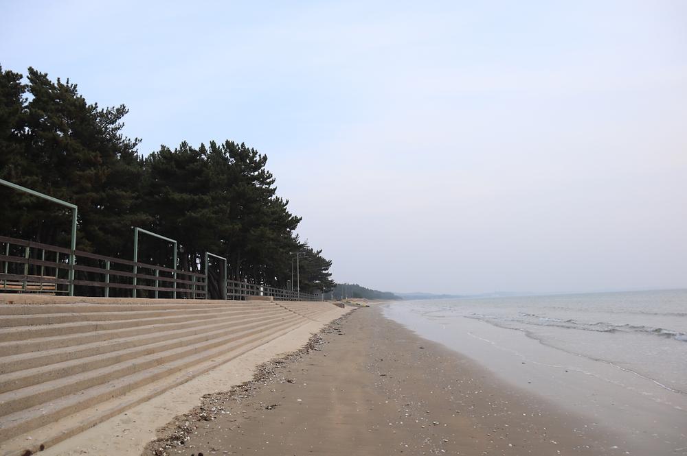 몽산포오토캠핑장 2구역