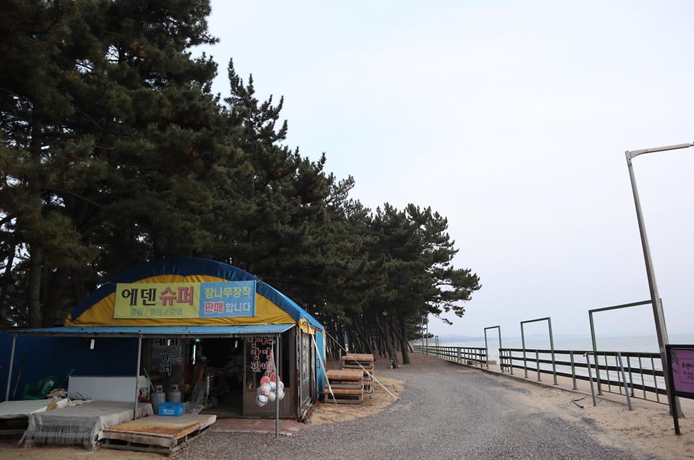 몽산포오토캠핑장 2구역