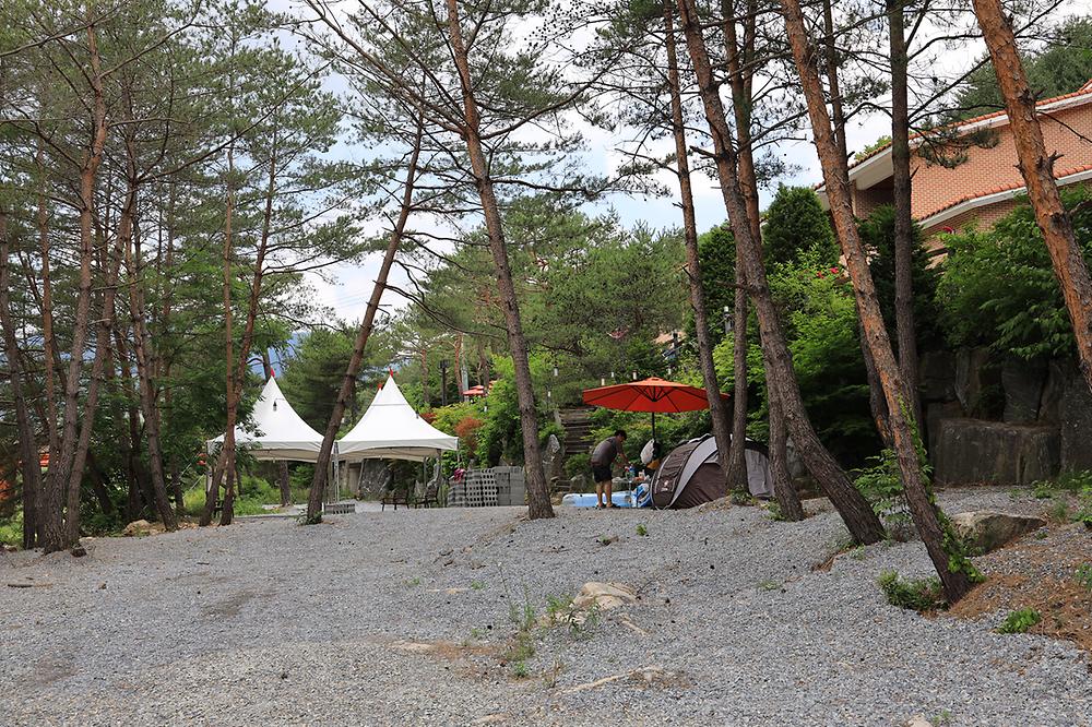 파라다이스캠프