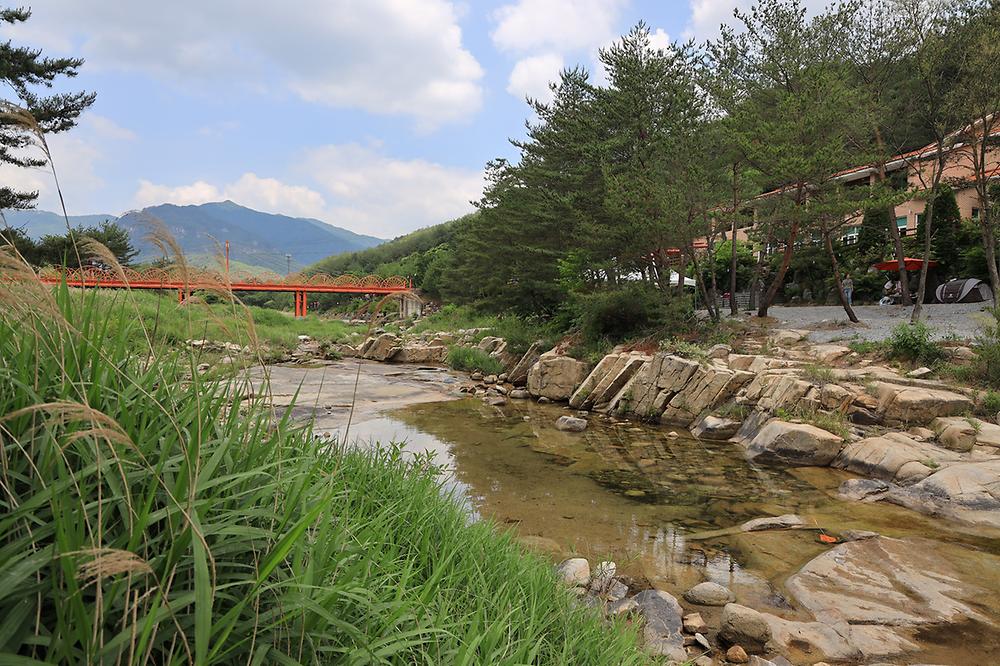 파라다이스캠프