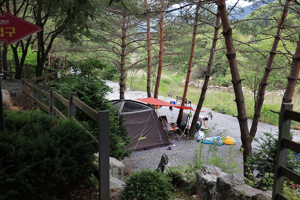 파라다이스캠프