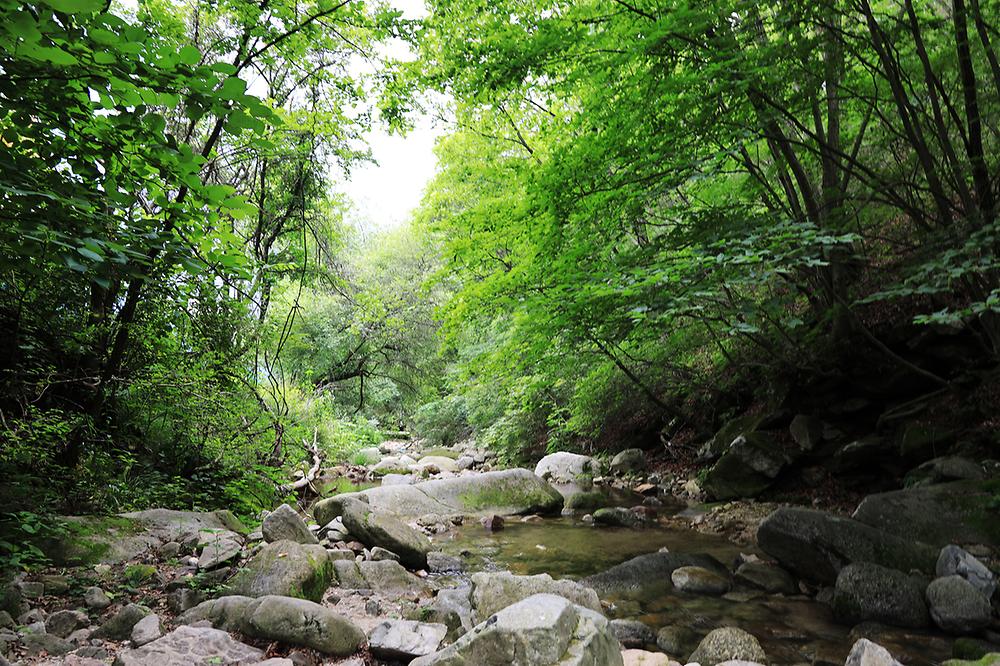 산중호걸 글램핑
