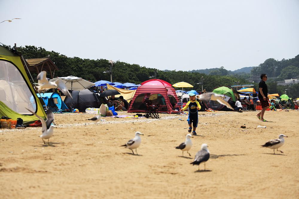 십리포해수욕장 야영장