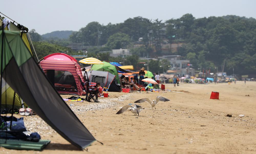십리포해수욕장 야영장