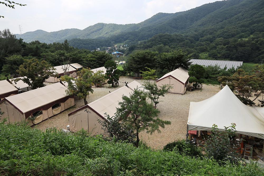 풀무골 글램핑장