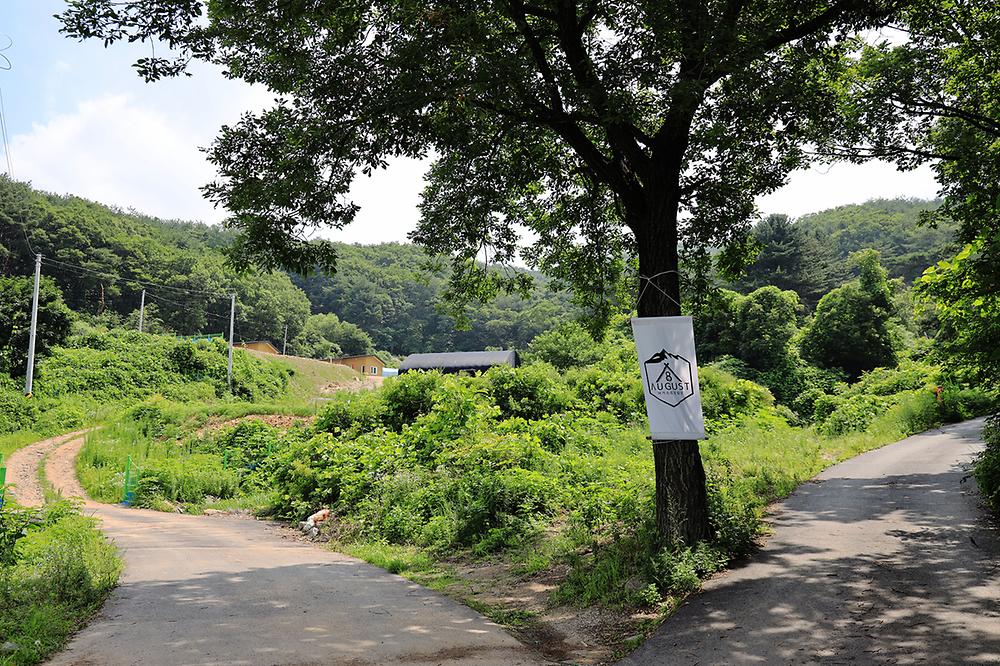 어거스트캠핑장