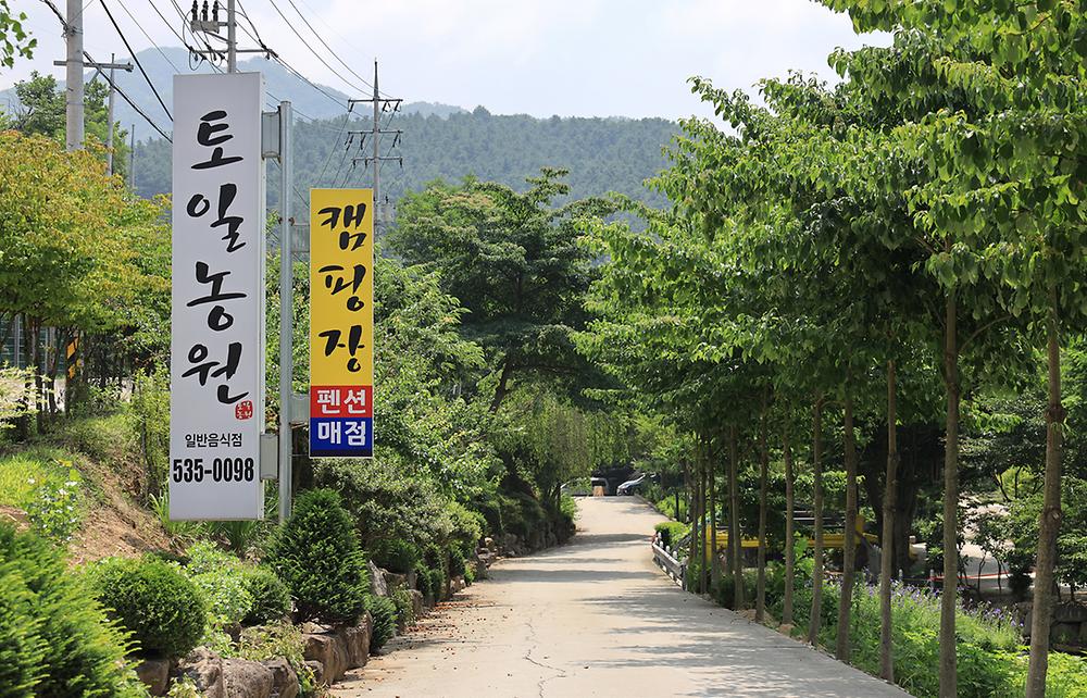 토일관광농원