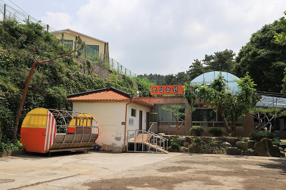 토일관광농원