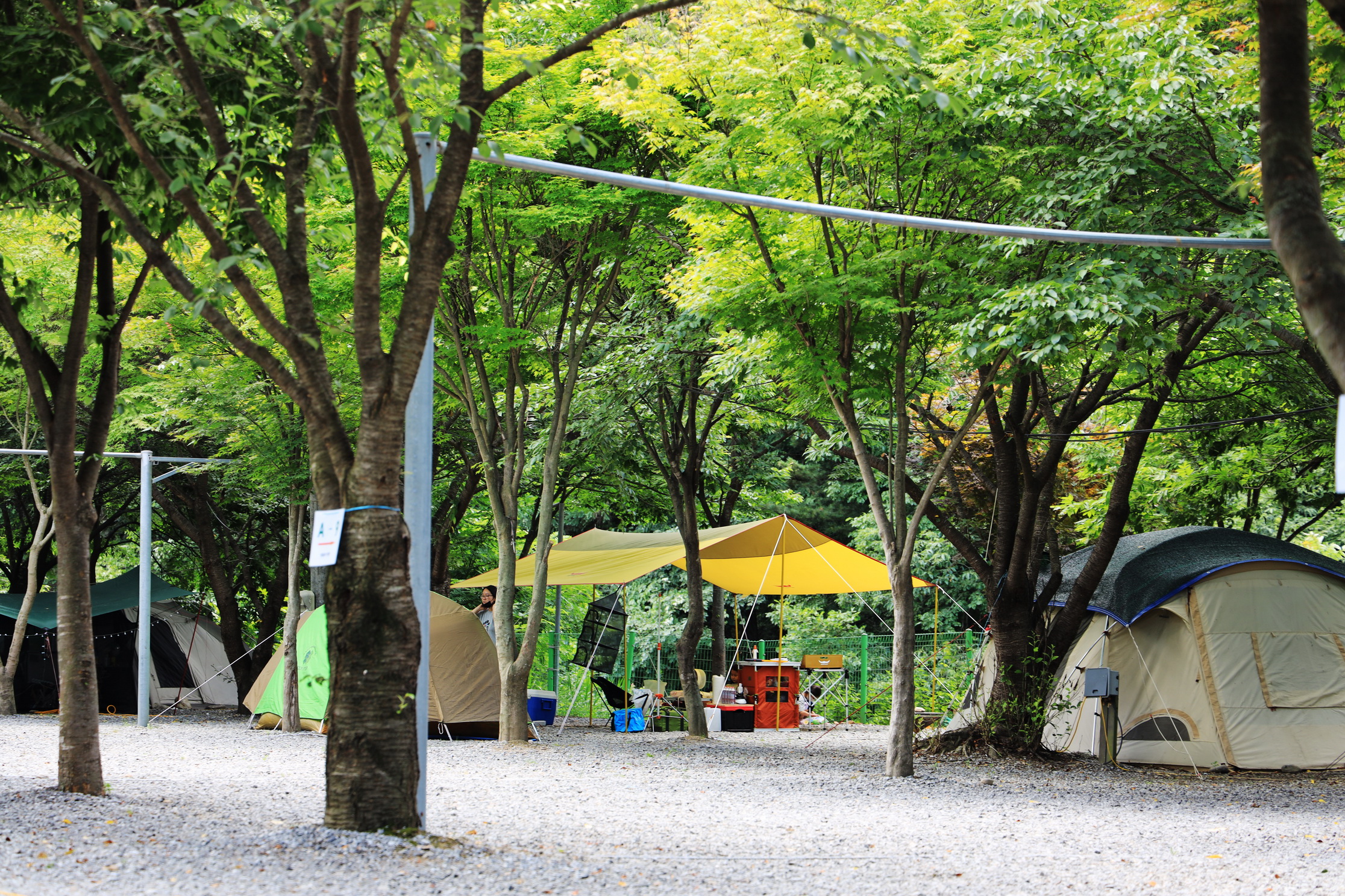 맑은물소리캠핑장