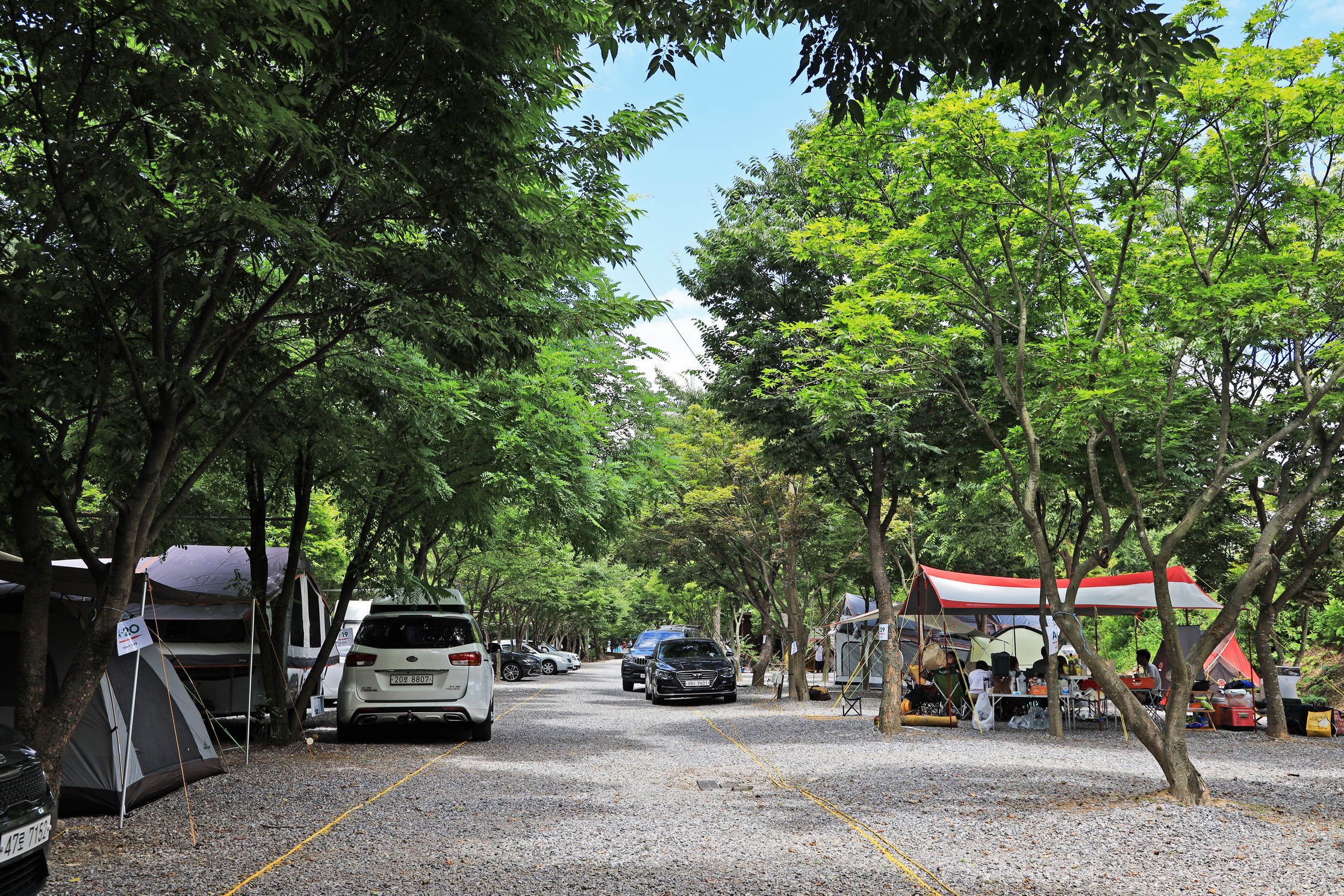 맑은물소리캠핑장