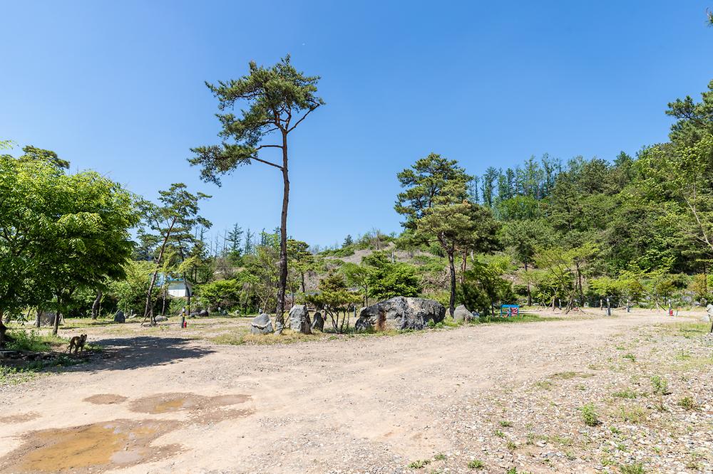 칠성캠핑장