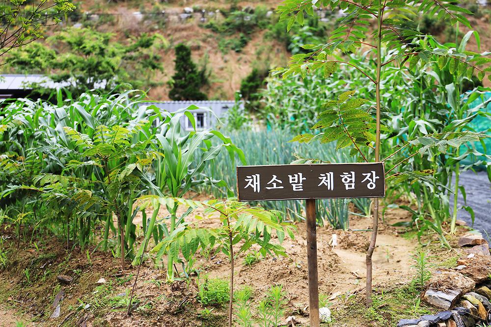 오션포레글램핑
