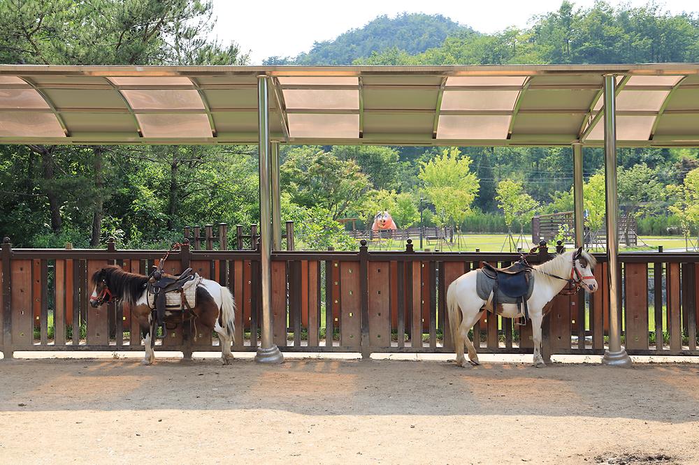 펫힐링 달빛동물원 캠핑장