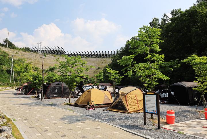 펫힐링 달빛동물원 캠핑장 메인 이미지