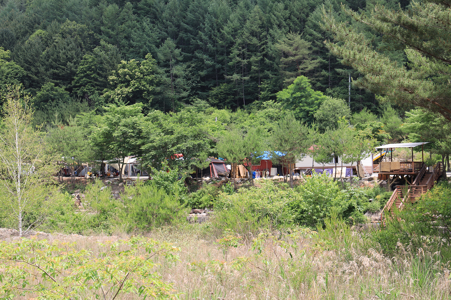 웰컴투캠프