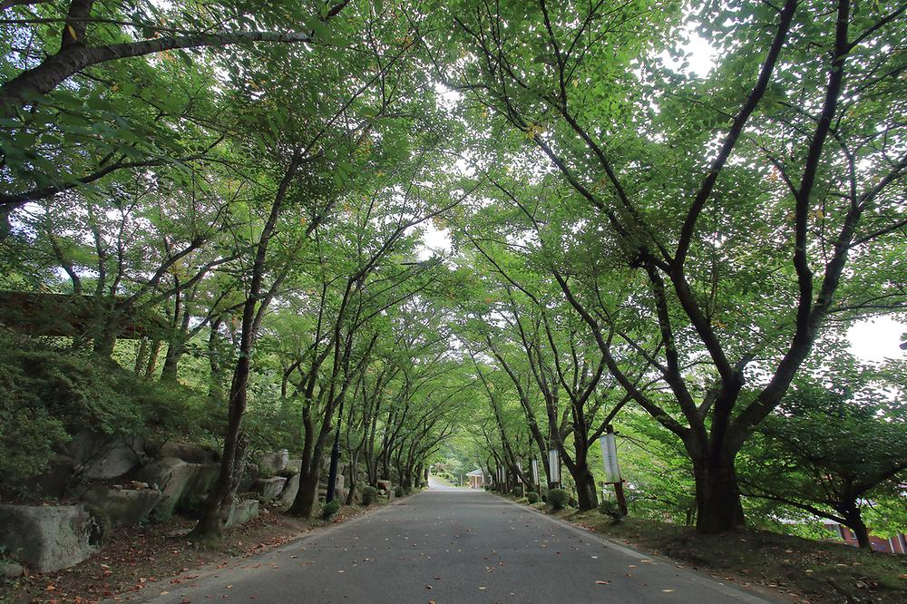 가산산성 야영장