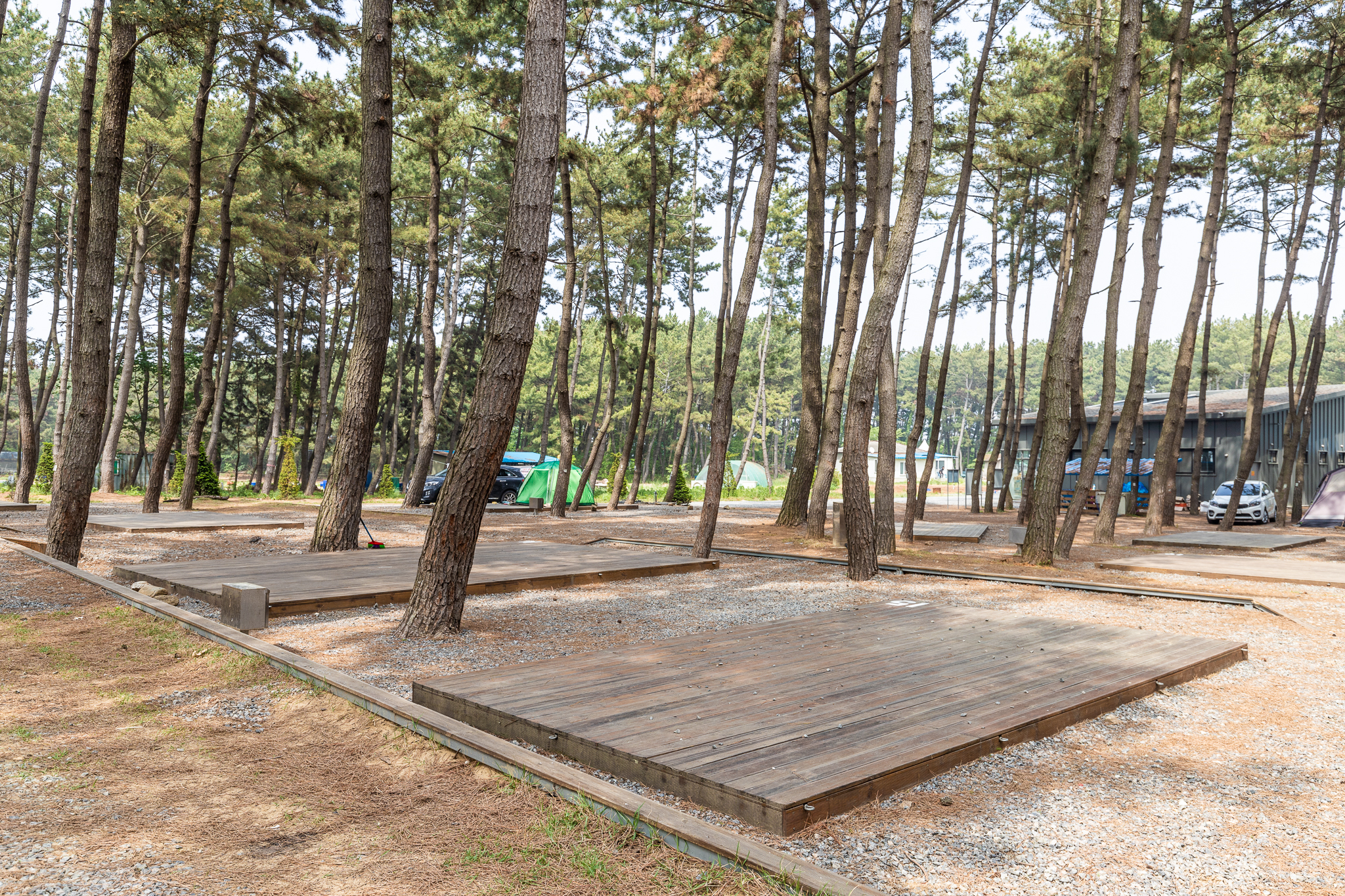 장항오토캠핑장
