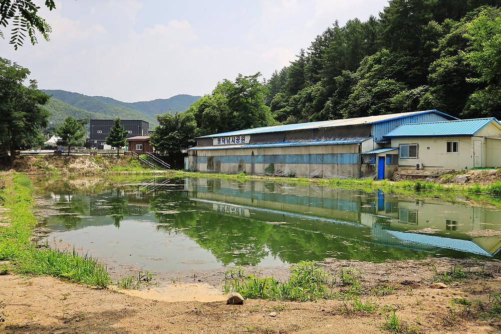포레스트 캠핑장