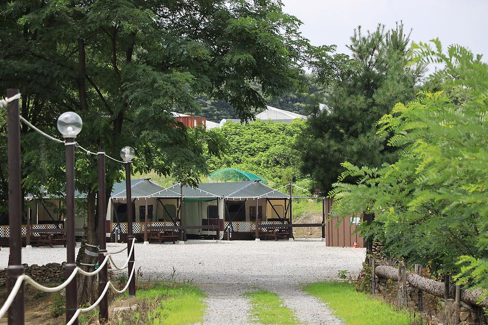 포레스트 캠핑장