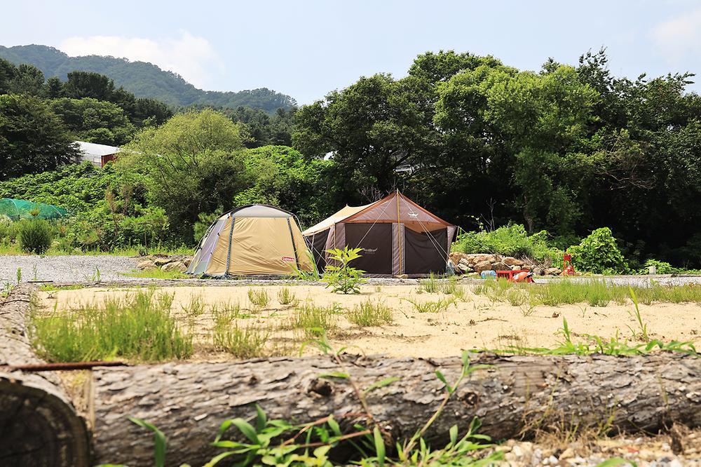 포레스트 캠핑장