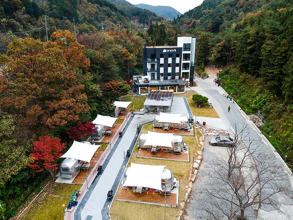 선인장