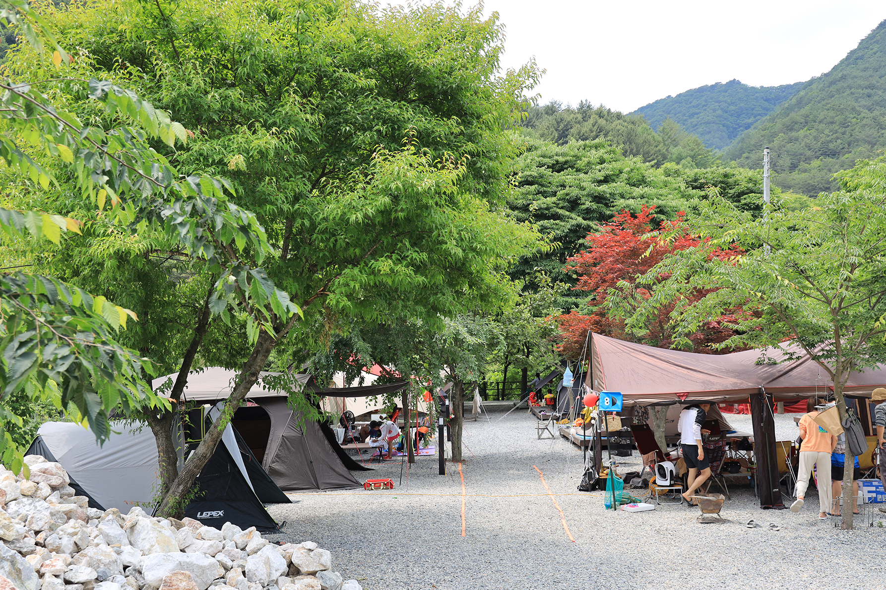 자연과함께 펜션캠핑장