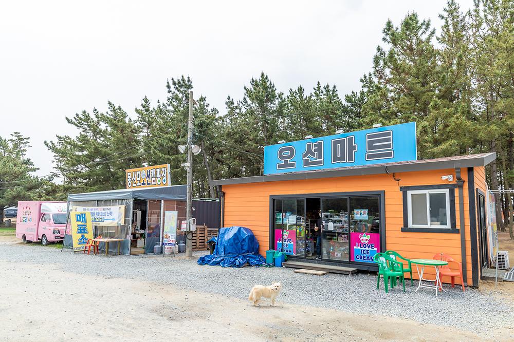 몽산포오션캠핑장