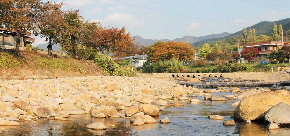 소나무 풍경 펜션 야영장