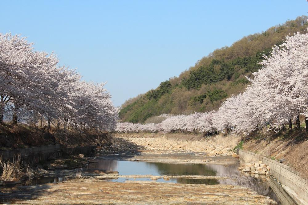 소나무 풍경 펜션 야영장