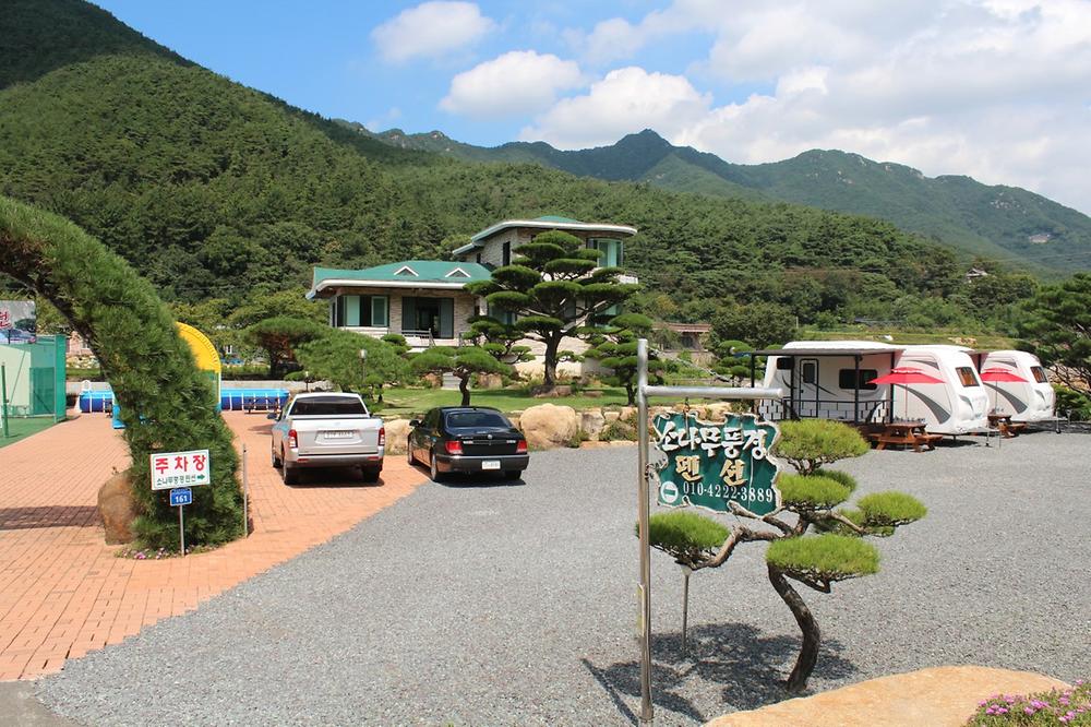 소나무 풍경 펜션 야영장