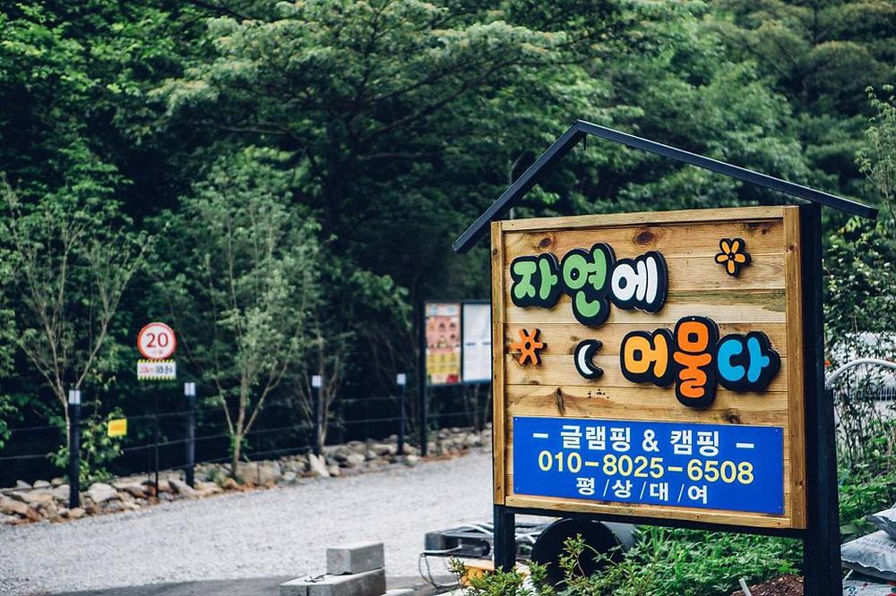 자연에 머물다