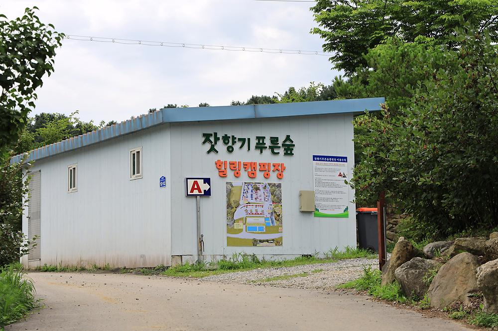 잣향기푸른숲캠핑장