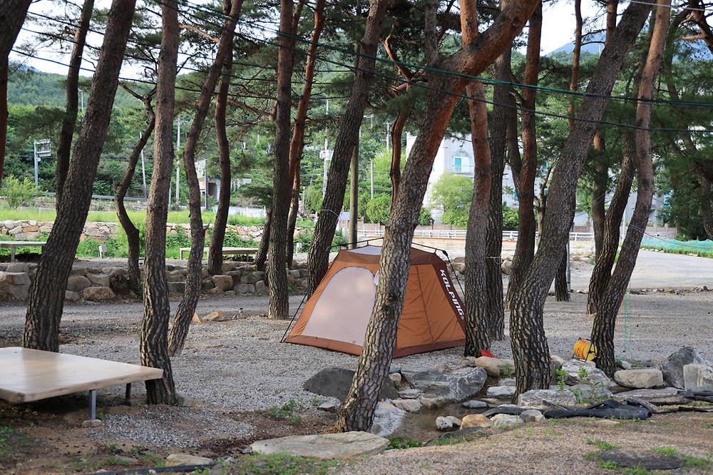 울산 힐링캠프