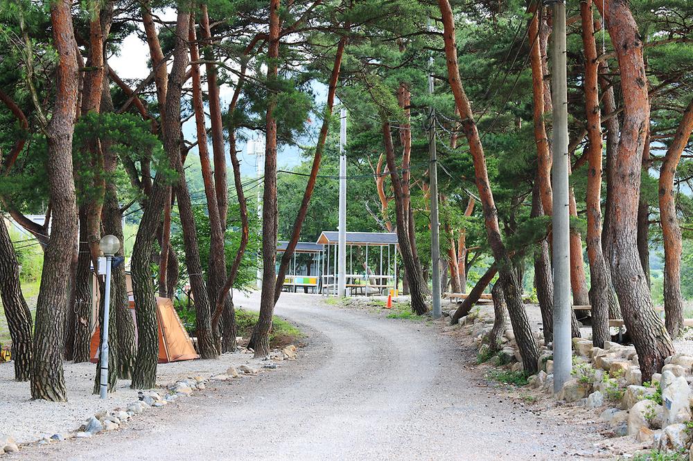 울산 힐링캠프