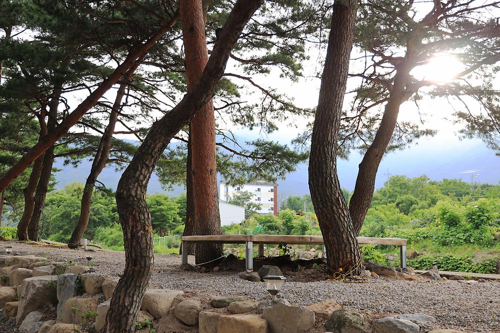 울산 힐링캠프